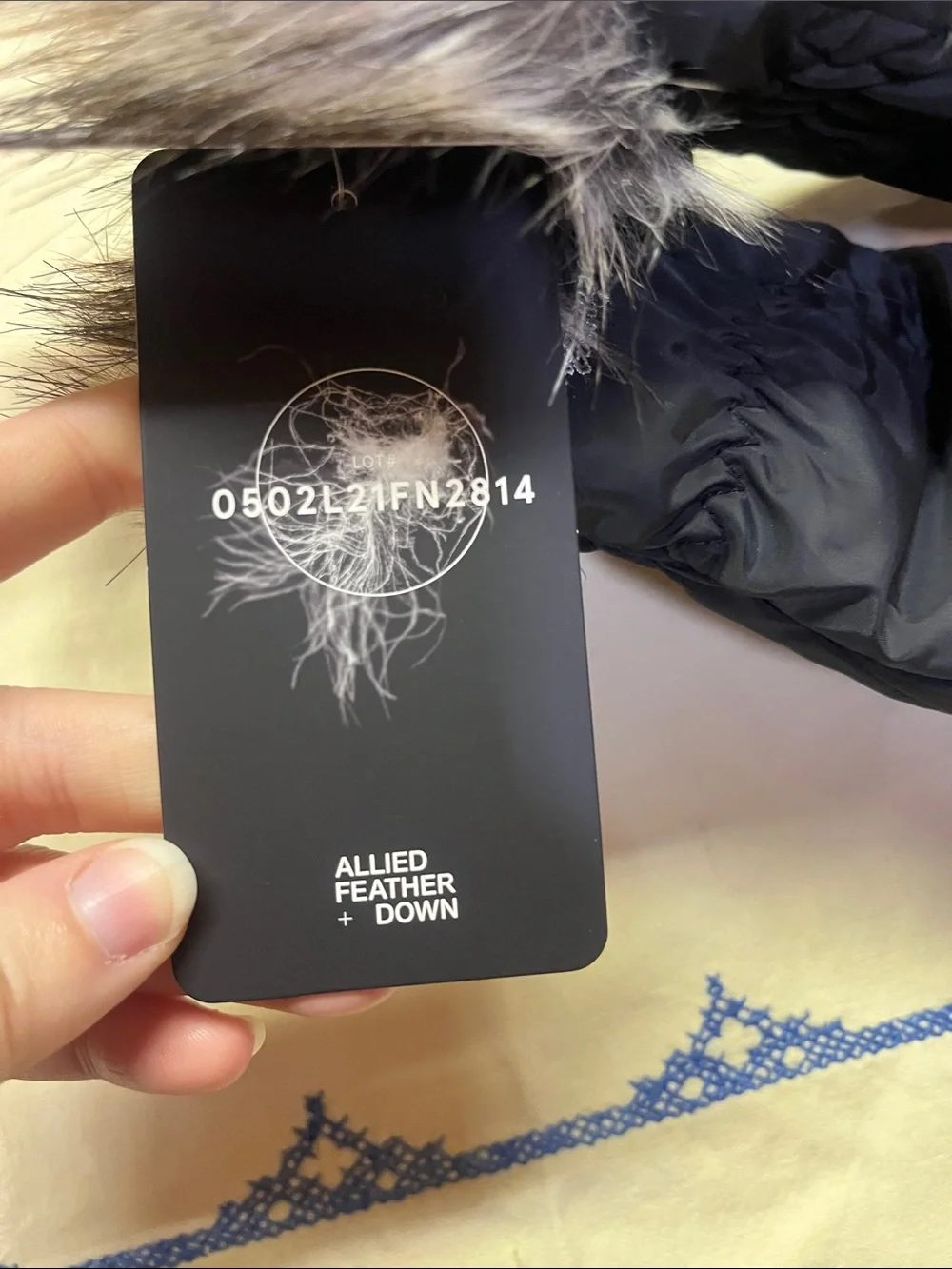 Eddie Bauer Black Lodge Down Mittens
